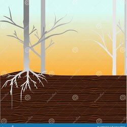 Supreme Forest Template Stock Illustration Of Beauty