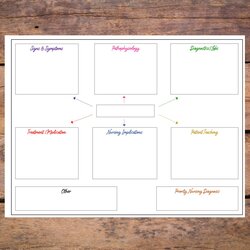 Outstanding Nursing Concept Map Template