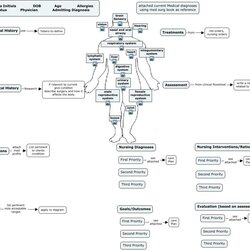 The Highest Standard Nursing Concept Map Template Business Autumn Quarter