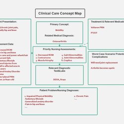Matchless Nursing Concept Map Template Example