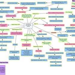 Eminent Med Concept Map Template