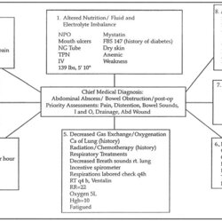 Wonderful Can Someone Help Me With Concept Mapping Map Nursing Care Template Diagnosis Maps Ob Plan Students