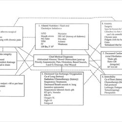 Great Free Sample Concept Map Templates In Template Nursing Example Mapping Word Learning Students Thinking