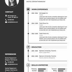 Fantastic Free Professional Resume Templates In With Images Curriculum