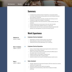 Online Resume Template About