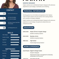 Excellent Sales Manager Resume Graphic Design Template Professional Board Word Examples Choose