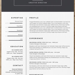 Brilliant Best Resume Templates Free Pro Downloads By Freelance Template Styled Web Clean Pack