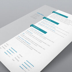 Sterling Free Resume Templates Template Great Professionalism Only Show