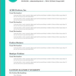 Magnificent Resume Template Free Samples Examples Format