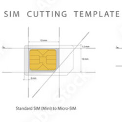 Superior Card Cutting Template Standard Micro And Vector