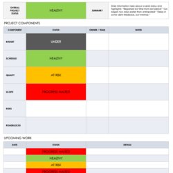 Capital Free Project Report Templates For One Page Status Template