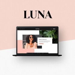Superior Our Best Templates For Service Based Businesses Big Cat Luna Template Kit