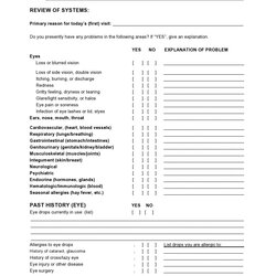 Champion Free Review Of Systems Templates Checklist Template
