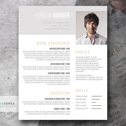 Preeminent Awesome Professional Format In Ms Word Resume Template For