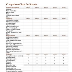 Superb Great Comparison Chart Templates For Any Situation Template Kb