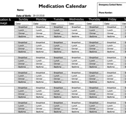 Splendid Great Medication Schedule Templates Calendars Template