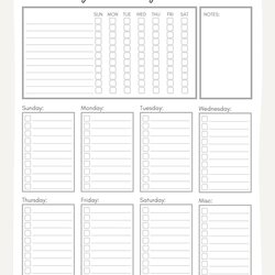 Weekly Daily Checklist Printable