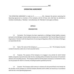 Professional Operating Agreement Templates Template