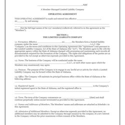 Outstanding Professional Operating Agreement Templates Template