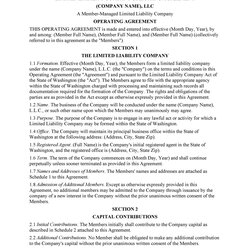 Professional Operating Agreement Templates Template Lab Operation
