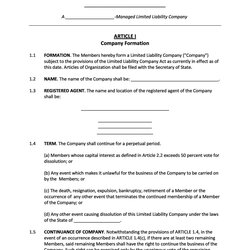 Superb Professional Operating Agreement Templates Template