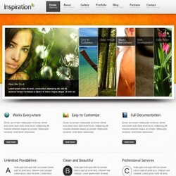 Website Templates Inspiration