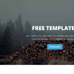 Supreme Free Templates All Template Responsive Portfolio Sonic Creative Commercial Jun Websites