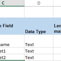 Great Microsoft Dynamics Data Dictionary Example And Template Download