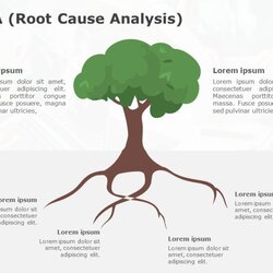 Top Templates For Root Report