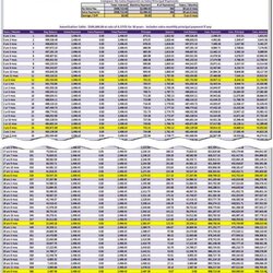 The Highest Quality Loan Amortization Template Excel