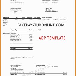 Marvelous Paycheck Stub Template Free Of Pay Payroll Checks Verification Daycare Check Creator