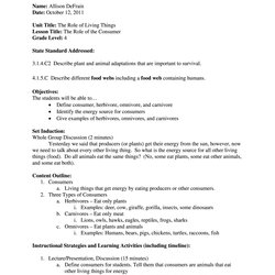 Capital College Lesson Plan Template Fill Online Printable Blank Form Word Large