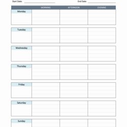 Excellent Daily Schedule Excel Template
