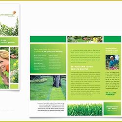 Swell Publisher Booklet Template Free Templates Brochure Microsoft Resume Tom July Posted Comments Of For