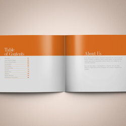 Download Professional Brand Guidelines Template Book Table Contents Orange Original Books Corporate Of About