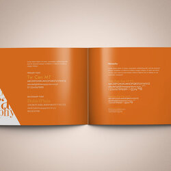 Exceptional Download Professional Brand Guidelines Template Book Books Original Typography Orange