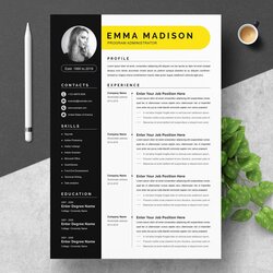 Cool Clean Modern Resume Template Word Templates Creative Market Administrator Programmer