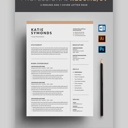 Sterling Awesome Resume Templates With Beautiful Layout Designs