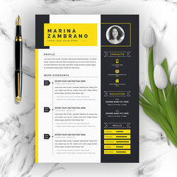 Clean Professional Creative And Modern Resume Curriculum Vitae Template Resumes Inventor Design Ms Word Apple