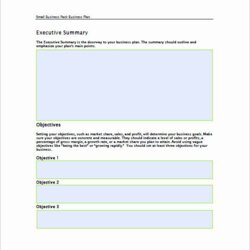High Quality Business Plan Template In Small Intended For