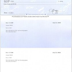 Peerless Free Printable Check Stubs Template Business Stub Payroll Pay Templates Blank Printing Software