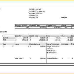 Very Good Free Printable Check Stubs Template Business Stub Pay Online