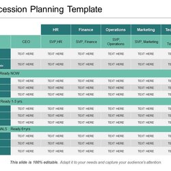 Fantastic Sample Succession Plan Democracy Planning Template Download