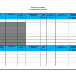 Effective Succession Planning Templates Excel Word Template