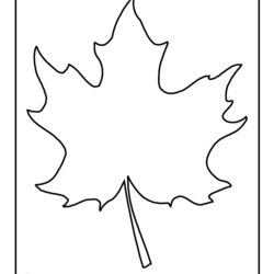 Admirable Free Maple Leaf Template Printable Download