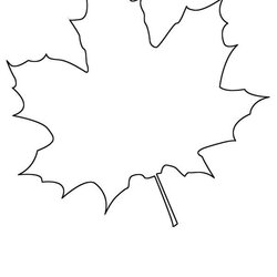 Outstanding Maple Leaf Template Other Templates To Choose From Coloring Draw Color Leaves Outline Pages Kids