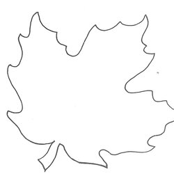 Very Good Maple Leaf Templates Best Template Printable Leaves Stencil Fall Stencils Large Patterns Cut Glenda