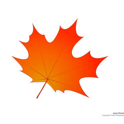 Magnificent Maple Leaf Drawing Template At Free Download Templates Kids Coloring Printable Pages
