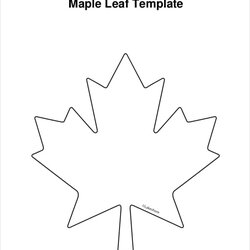 Cool Maple Leaf Printable Template World Holiday
