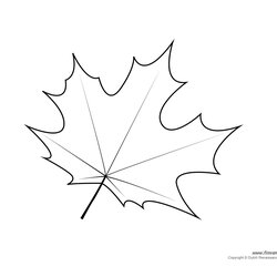 Peerless Leaf Templates Coloring Pages For Kids Maple Template Leaves Color Printable Fall Board Print